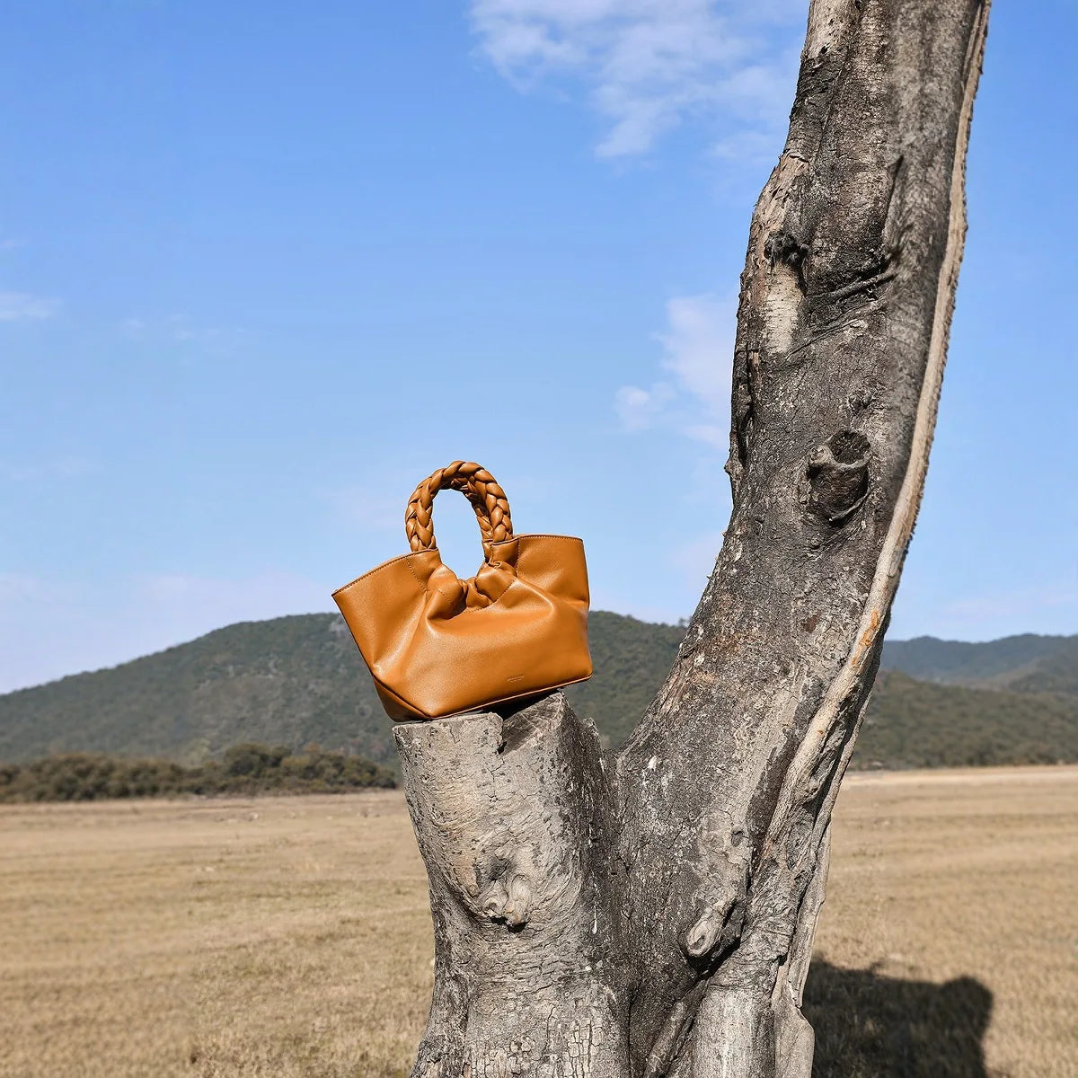 Genuine Leather Bucket Bag